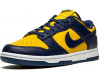 Nike SB Dunk Low Michigan