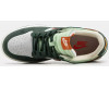 Nike SB Dunk Low Steamboy OST Green White