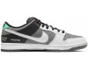 Nike SB Dunk Low VX1000 Camcorder