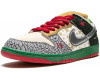 Nike SB Dunk Low What The Dunk